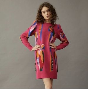 FARM Rio Bellina Pink Sweater Dress Tunic Parrots